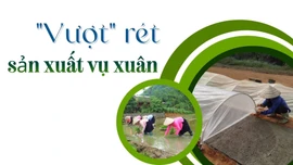 "Vượt" rét sản xuất vụ xuân