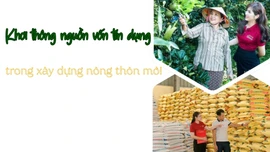 Khơi thông nguồn vốn tín dụng trong xây dựng nông thôn mới 