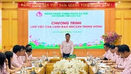 Ngân hàng Chính sách Xã hội Trung ương làm việc tại tỉnh Lào Cai