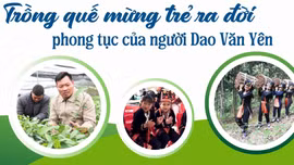 Trồng quế mừng trẻ ra đời - phong tục đẹp của người Dao Văn Yên