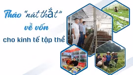 Tháo "nút thắt" về vốn cho kinh tế tập thể