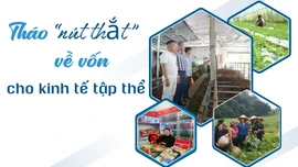 Tháo "nút thắt" về vốn cho kinh tế tập thể