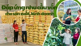 Đáp ứng nhu cầu vốn cho sản xuất, kinh doanh 