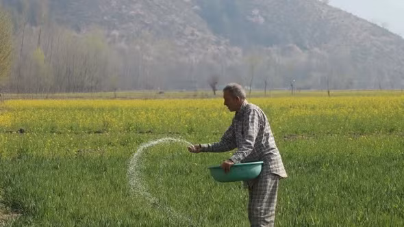 Nông dân Nam Á lao đao vì cú sốc phân bón do khủng hoảng Hormuz