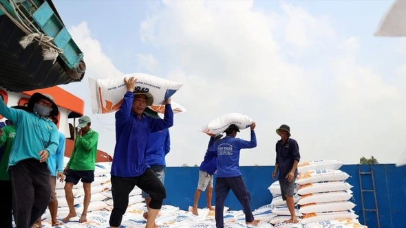 Việt Nam dự kiến có 7,73 triệu tấn gạo hàng hóa cho xuất khẩu năm 2026