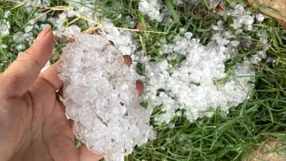 Mưa đá gây thiệt hại nhiều diện tích cây trồng tại Sơn La