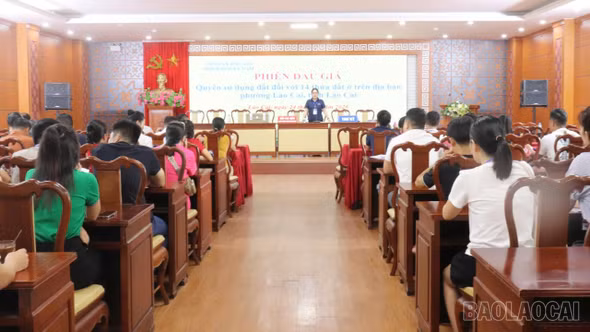 Phường Lào Cai đấu giá thành công 14 thửa đất
