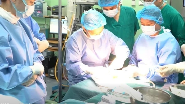 Ghép gan từ người cho chết não, cứu sống bệnh nhi 3 tuổi suy gan giai đoạn cuối