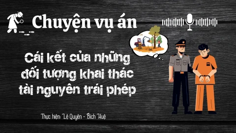 Chuyện vụ án "Cái kết của những đối tượng khai thác tài nguyên trái phép"