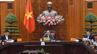 Lựa chọn phương án tối ưu nhất trong sắp xếp, tinh gọn bộ máy để báo cáo cấp có thẩm quyền