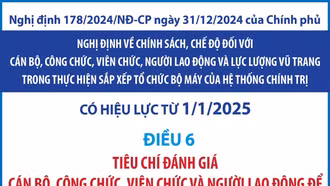 Tiêu chí đánh giá cán bộ, công chức, viên chức để thực hiện sắp xếp, giải quyết chế độ