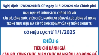 Tiêu chí đánh giá cán bộ, công chức, viên chức để thực hiện sắp xếp, giải quyết chế độ