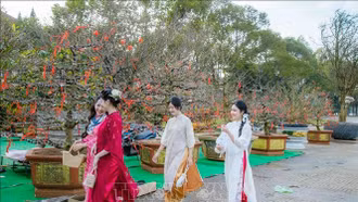 Thời tiết ngày 29/1 (mùng 1 Tết): Thuận lợi để du Xuân, chúc Tết