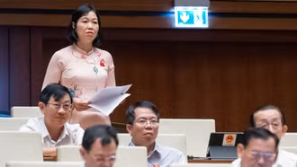 Đại biểu Nguyễn Thị Lan Anh góp ý đối với Dự án Luật Nhà giáo