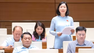 Đại biểu Nguyễn Thị Lan Anh tham gia ý kiến đối với Dự thảo Luật Thanh tra (sửa đổi)