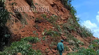 Bảo Yên: Kịp thời cứu một thanh niên bị đất sạt vùi lấp khi đang đi trên đường