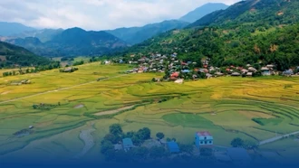 Dương Quỳ sẵn sàng bước vào hành trình mới