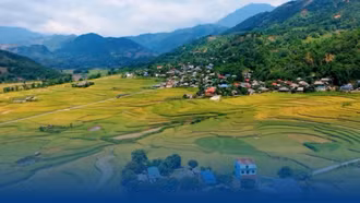 Dương Quỳ sẵn sàng bước vào hành trình mới