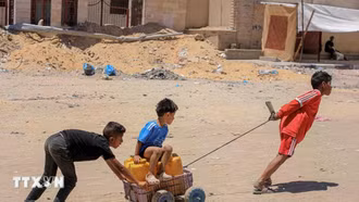 Liên hợp quốc: 138 triệu trẻ em vẫn phải lao động kiếm sống vào năm 2024