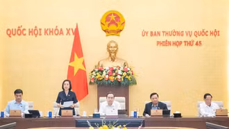 Chủ hộ kinh doanh bị thu BHXH sai được hưởng lương hưu