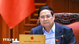 Thủ tướng phân công các Phó Thủ tướng chỉ đạo thực hiện những công việc cấp bách