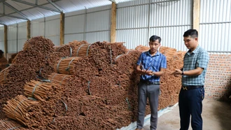 Bảo Yên lồng ghép, sử dụng hiệu quả nguồn lực đầu tư cho công tác giảm nghèo