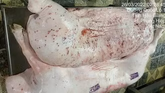 Chính thức đề nghị Bộ Công an vào cuộc vụ Công ty C.P. bị tố bán lợn bệnh