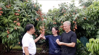 Khởi động Chương trình du lịch "Vải thiều Lục Ngạn - Tinh hoa trái cây Việt"
