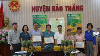 Công bố văn bằng bảo hộ nhãn hiệu tập thể “Dứa Bảo Thắng - Lào Cai”