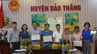 Công bố văn bằng bảo hộ nhãn hiệu tập thể “Dứa Bảo Thắng - Lào Cai”