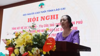 Hội Người cao tuổi tỉnh tổng kết đề án 1336 và Sơ kết 06 tháng đầu năm 2025