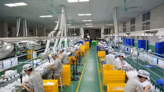 Gần 50 doanh nghiệp Việt Nam hôm nay sang Mỹ tìm cơ hội nhập khẩu nông lâm thủy sản