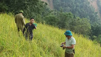 Di chuyển khẩn cấp 32 hộ dân thôn Khu Tủng, xã Bản Liền ra khỏi vùng có nguy cơ sạt lở