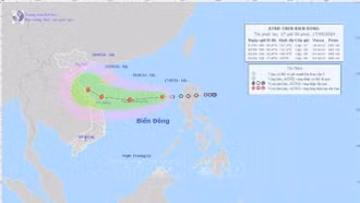 Chủ động ứng phó áp thấp nhiệt đới có khả năng mạnh lên thành bão