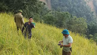 Di chuyển khẩn cấp 32 hộ dân thôn Khu Tủng, xã Bản Liền ra khỏi vùng có nguy cơ sạt lở