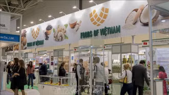 Việt Nam - Nga: Cơ hội mở rộng hợp tác thương mại song phương