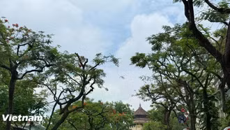 Thời tiết ngày 21/5: Nhiều khu vực ngày nắng nóng, chiều tối mưa dông