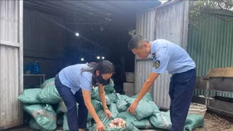 Thu giữ hơn 33 tấn thực phẩm đông lạnh bốc mùi, không rõ nguồn gốc