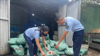 Thu giữ hơn 33 tấn thực phẩm đông lạnh bốc mùi, không rõ nguồn gốc