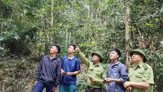 Không chủ quan trong công tác bảo vệ rừng dịp nghỉ lễ