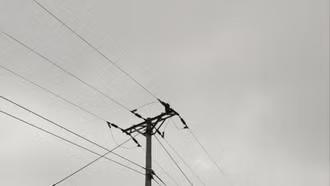 Điện lực Văn Bàn thông tin về vụ tai nạn điện trên địa bàn