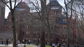 Trước biến động tại Đại học Harvard, Nhật Bản đề xuất tiếp nhận sinh viên quốc tế