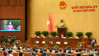 Thống nhất một chế độ công vụ từ Trung ương đến cấp xã