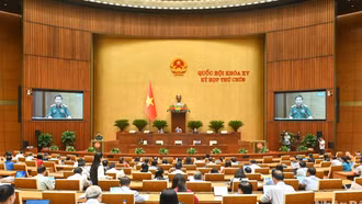 Cán bộ, công chức, viên chức Nhà nước có thể tham gia lực lượng gìn giữ hòa bình