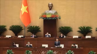 Ngày 14/5, Quốc hội thảo luận về dự án Luật Tổ chức chính quyền địa phương