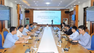 Lào Cai làm việc với JICA chuẩn bị triển khai Dự án REDD+ từ nguồn vốn GCF