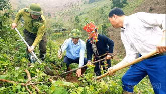 Các xã khu vực Văn Bàn trồng hơn 15.300 cây phân tán và trên 3 ha rừng đầu xuân 2026