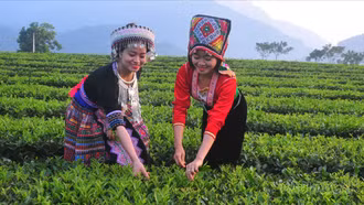 Chủ động, linh hoạt đưa nghị quyết của Đảng vào cuộc sống