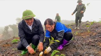 Nhân dân xã Quy Mông ra quân trồng rừng đầu năm 2026