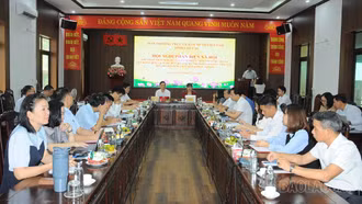 Lào Cai phản biện dự thảo chính sách thu hút nhân lực chất lượng cao giai đoạn 2026 - 2030